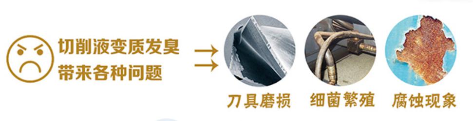 1567755322252840.jpg 1567755322252840.jpg